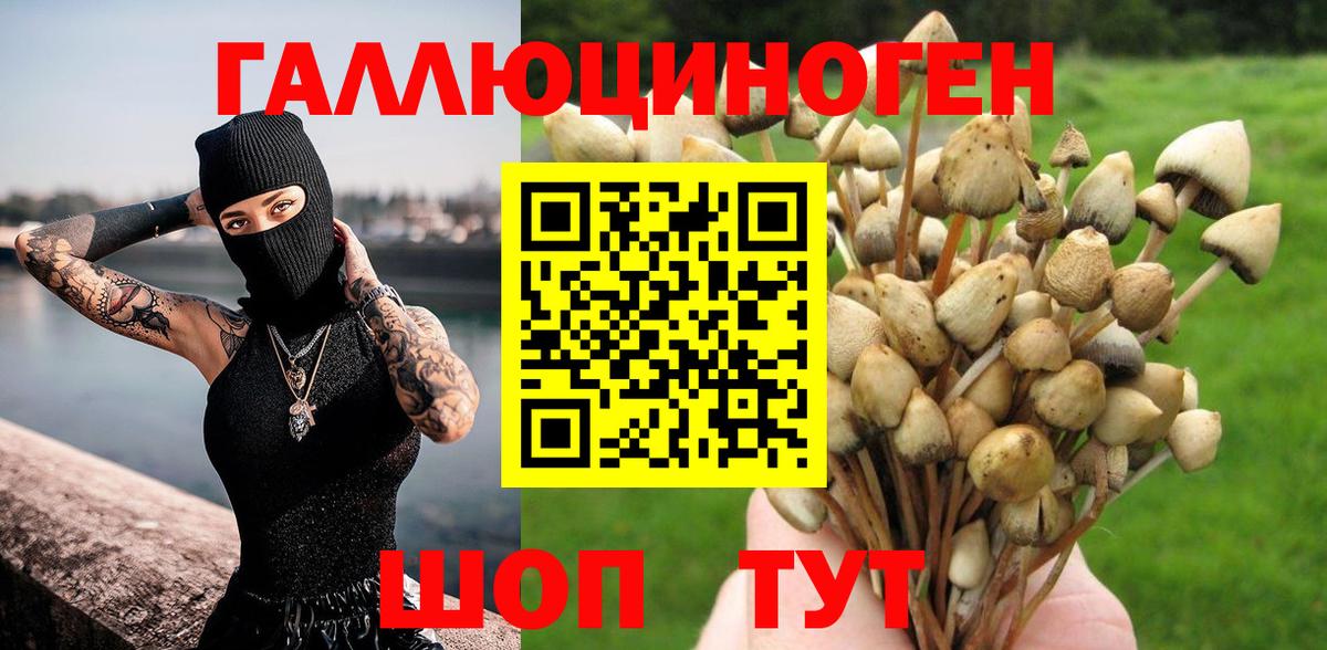 Новошахтинск  Галлюциногенные грибы Magic Shrooms  Вход с VPN 